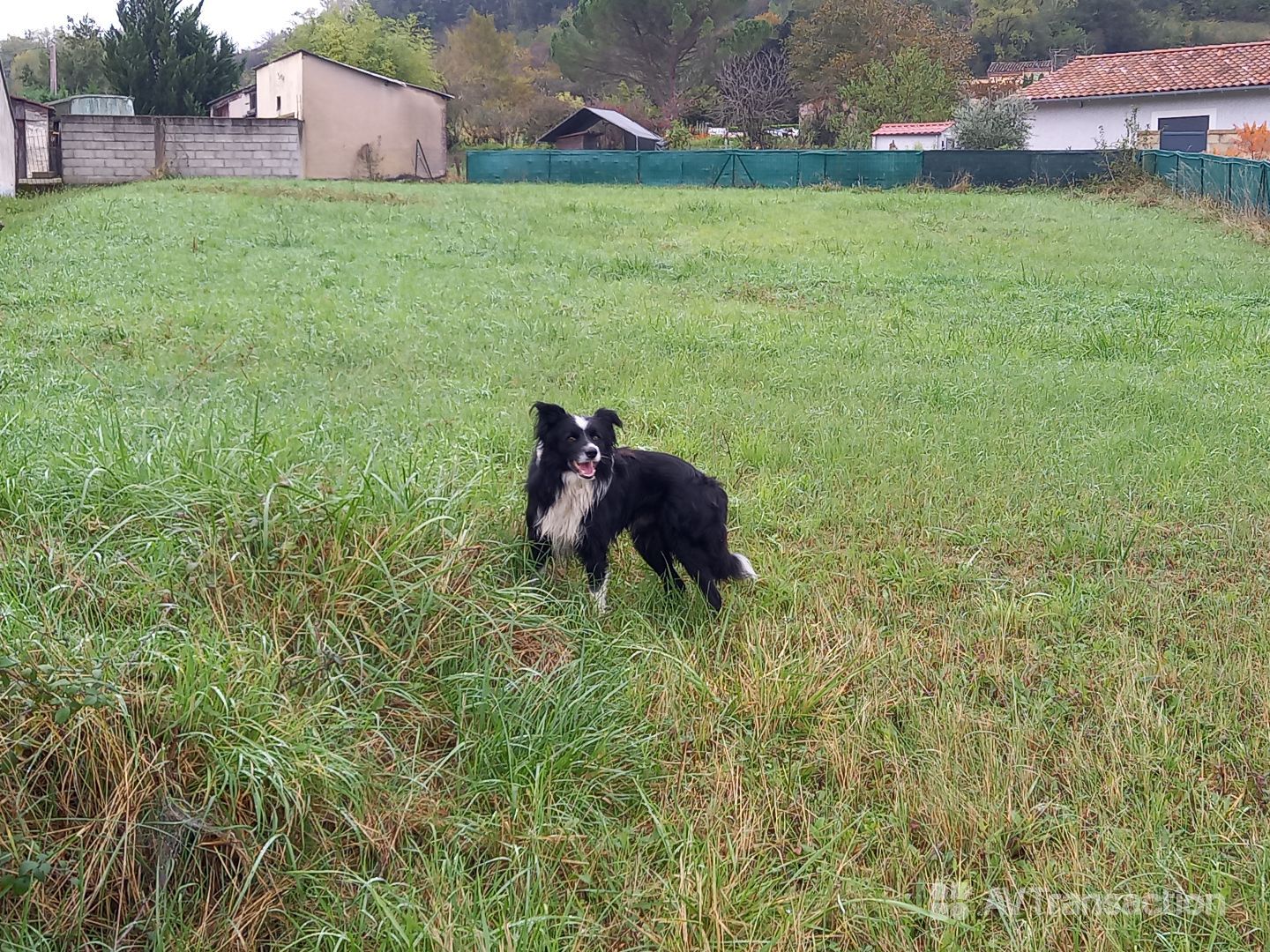 TB Terrain à Bâtir Albi  920m2 Calme, vue, accès, viabilisé
