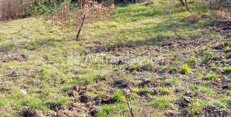 Terrain constructible à vendre  - 870m2 - Callas (83830)