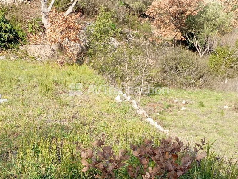 Terrain constructible à vendre  - 870m2 - Callas (83830)