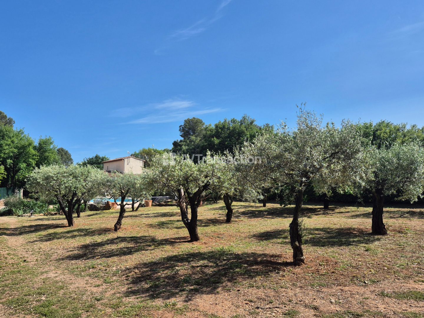 Maison à vendre  - 5 pièce(s) - 136m2 - Draguignan (83300)
