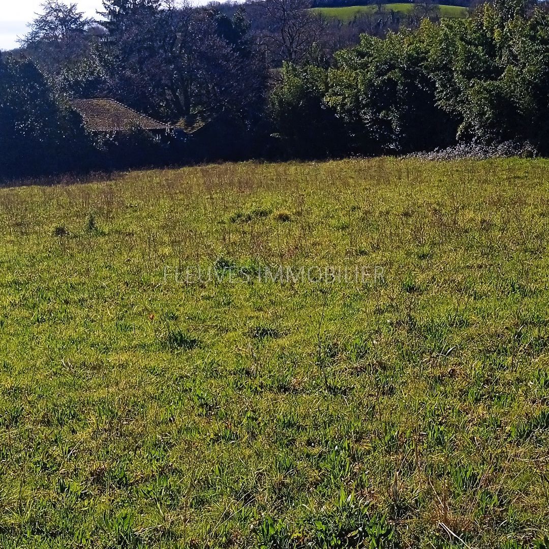 Terrain constructible à vendre  - 3435m2 - Autevielle Saint Martin (64390)