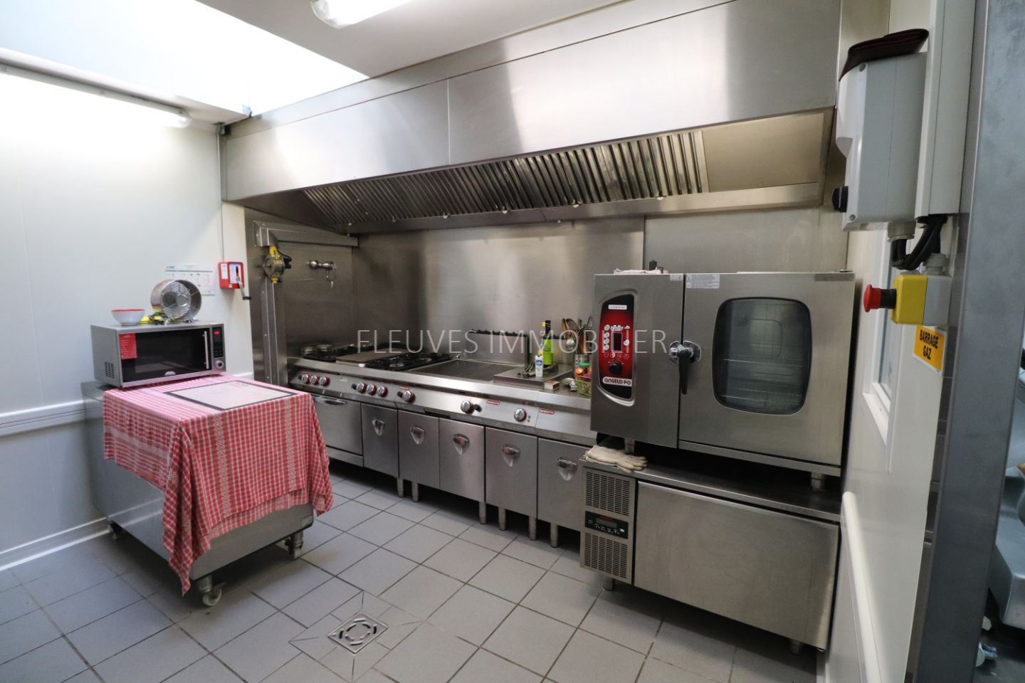 Demeure de ville et village à vendre  - 11 pièce(s) - 477m2 - Tardets-sorholus (64470)