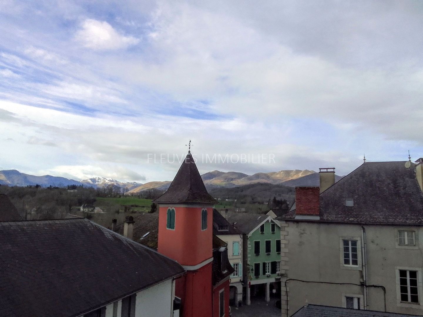 Demeure de ville et village à vendre  - 11 pièce(s) - 477m2 - Tardets-sorholus (64470)