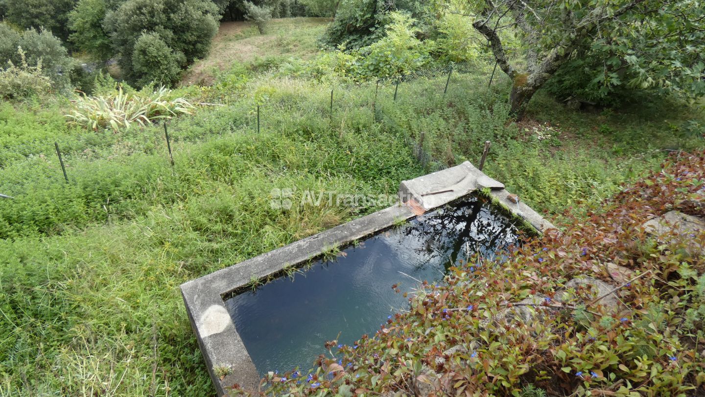 Maison en pierre à vendre  - 9 pièce(s) - 146m2 - Saint-jean-du-gard (30270)