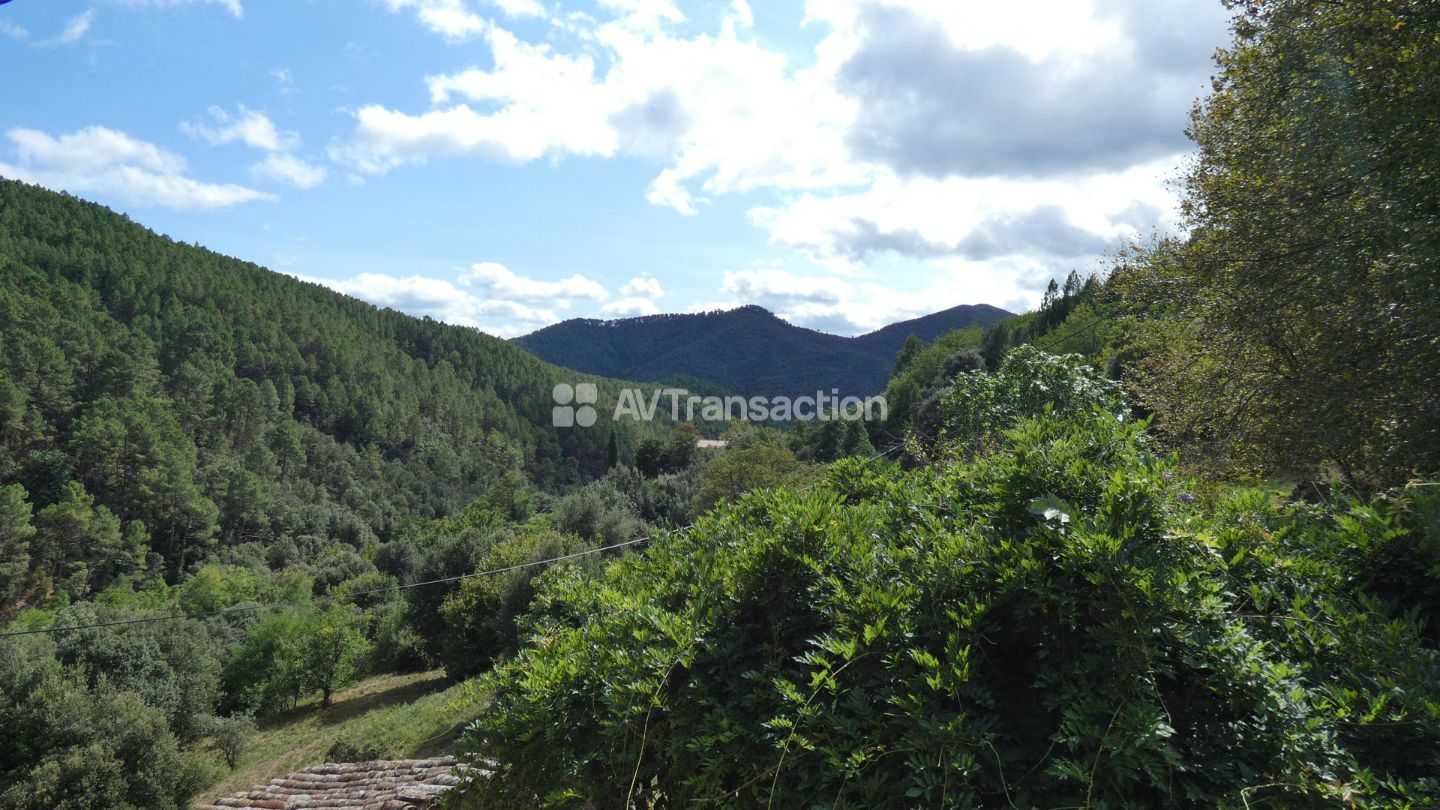 Maison en pierre à vendre  - 9 pièce(s) - 146m2 - Saint-jean-du-gard (30270)