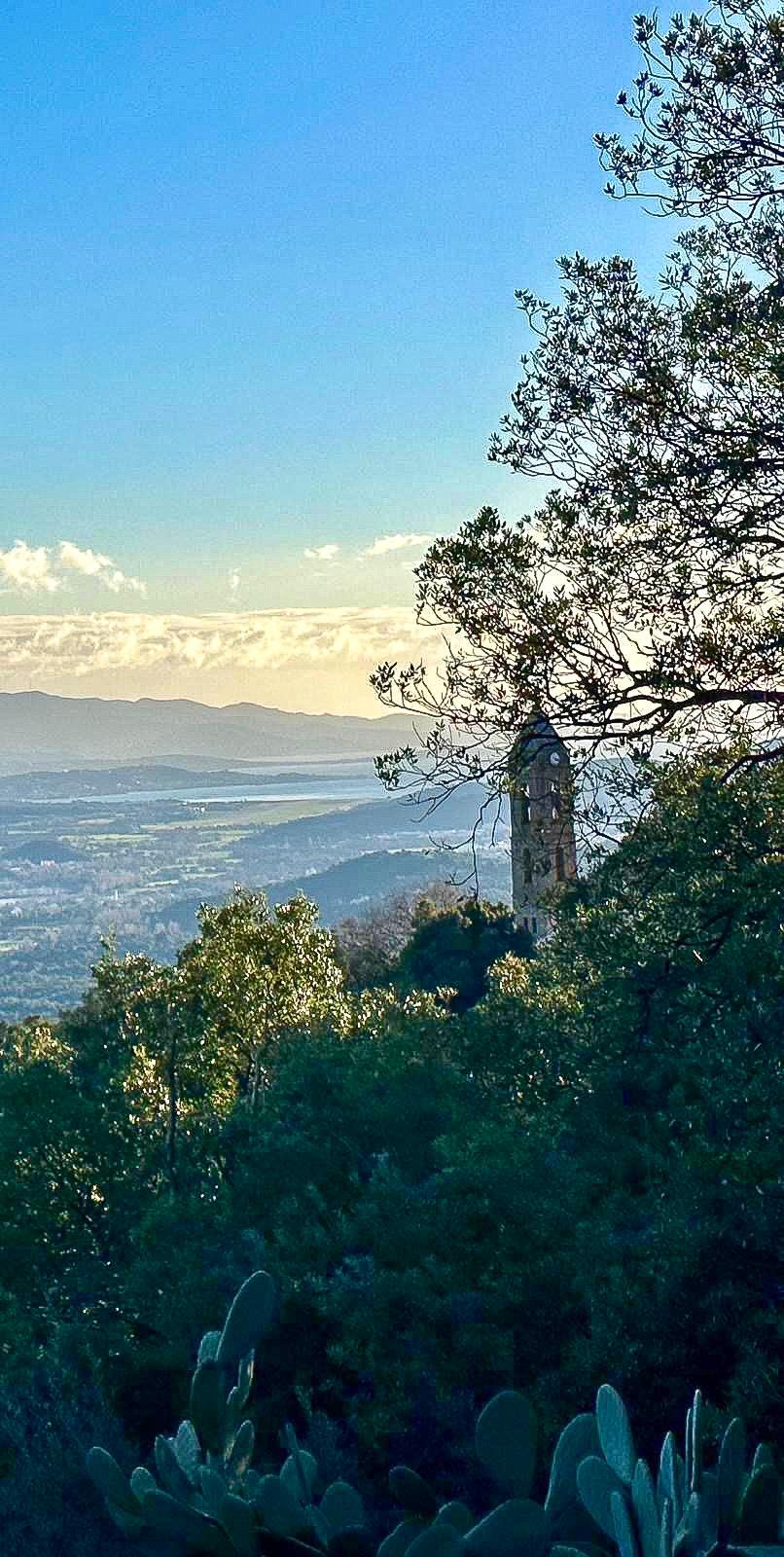 Maison à vendre  - 1000m2 - Sarrola-carcopino (20167)