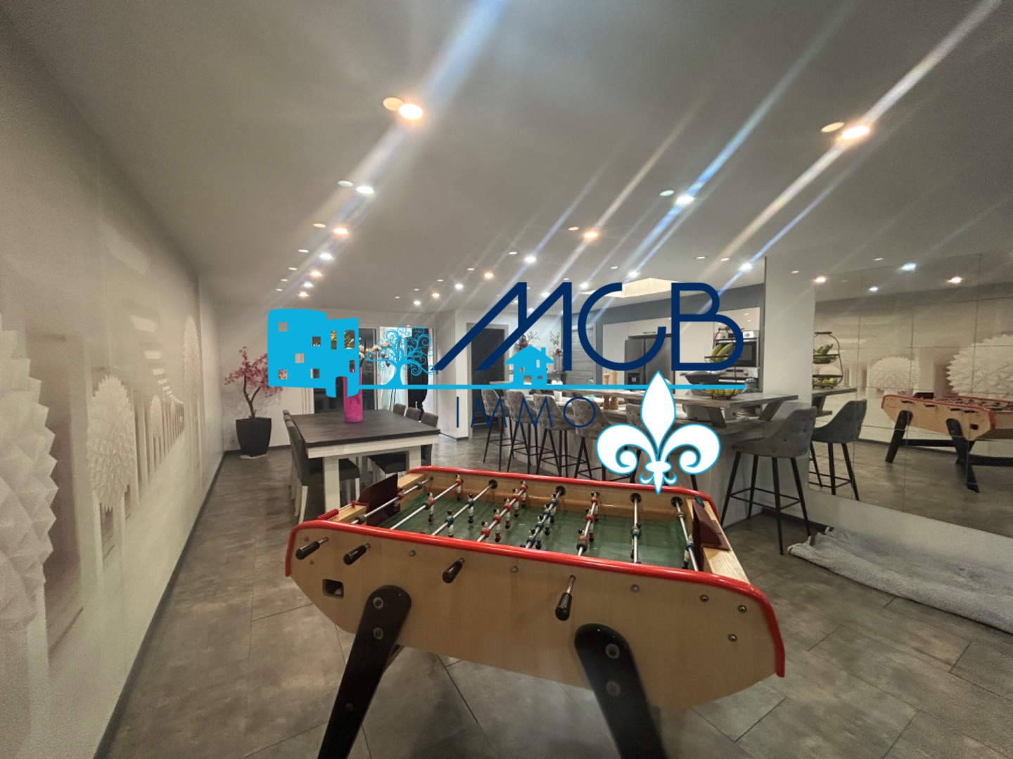 Appartement avec Local d'activité