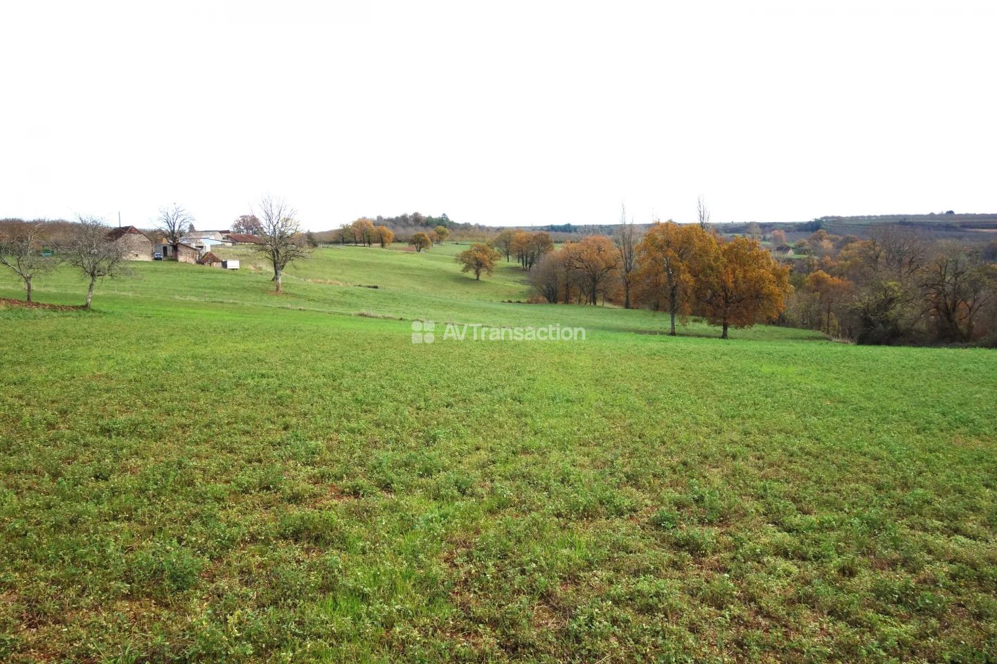 Terrain constructible à vendre  - 10355m2 - Les Sarlandes (24390)