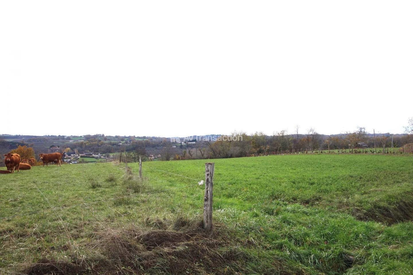 Terrain constructible à vendre  - 10355m2 - Les Sarlandes (24390)