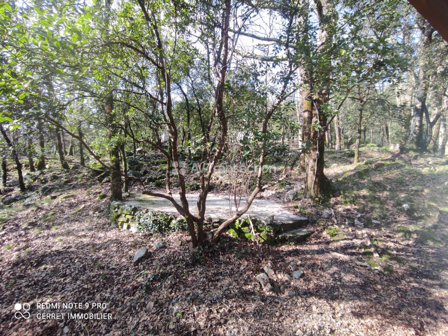 Studio à vendre  - 1 pièce(s) - 27m2 - Thoiras-corbès (30140)