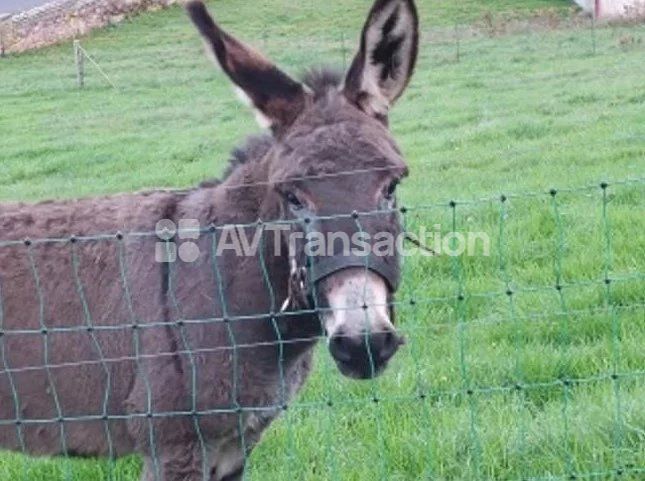 Maison à vendre  - 15 pièce(s) - 158m2 - Fougerolles-saint-valbert (70220)