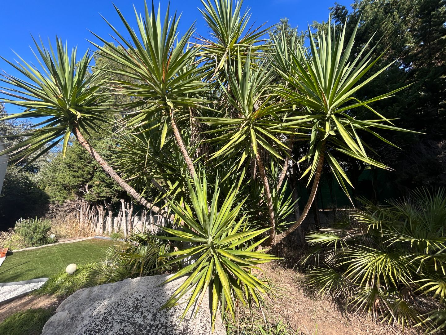 Appartement ancien à vendre  - 4 pièce(s) - 137m2 - Nîmes (30000)