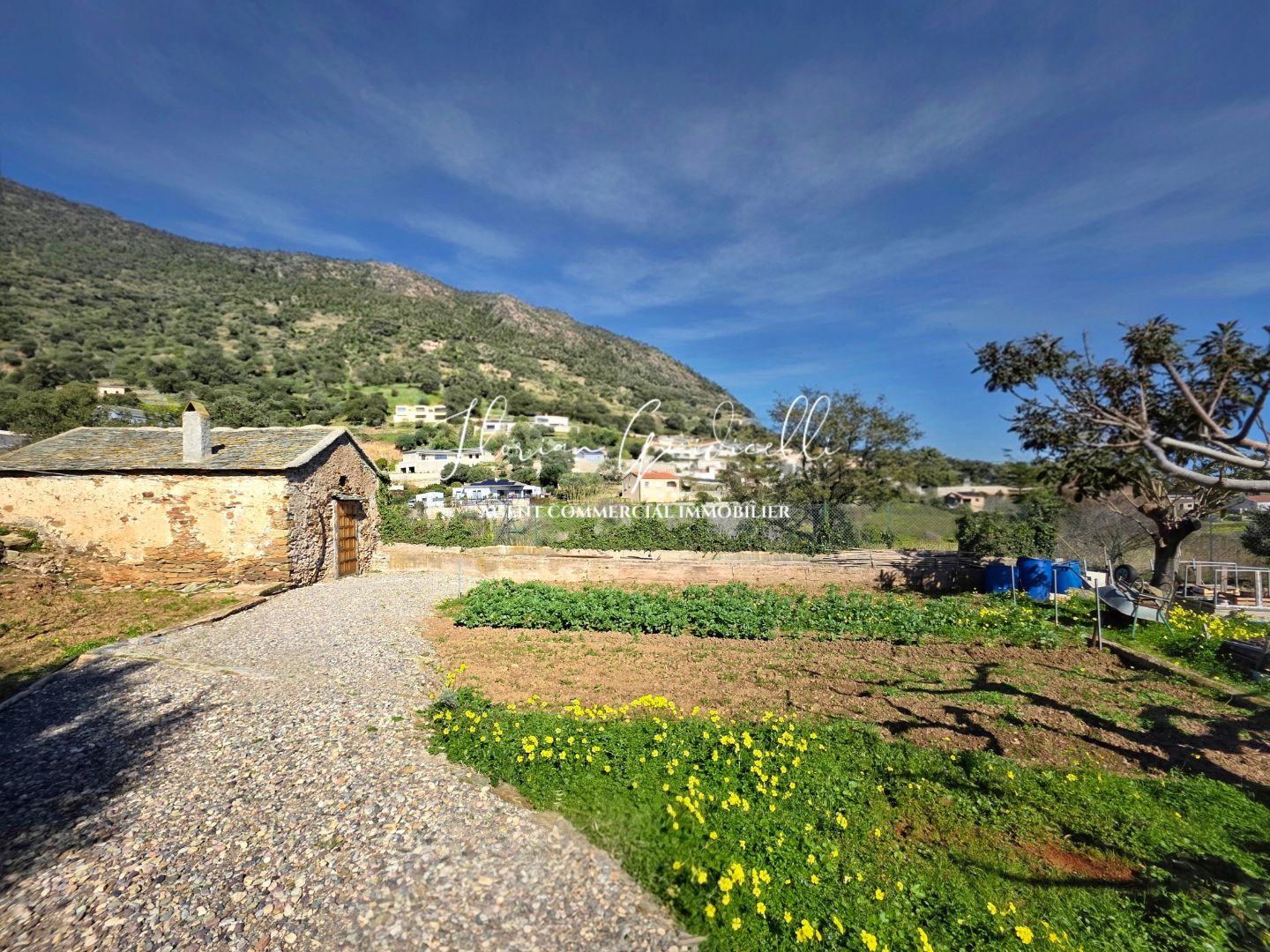 Maison à vendre  - 4 pièce(s) - 178m2 - Bastia (20600)