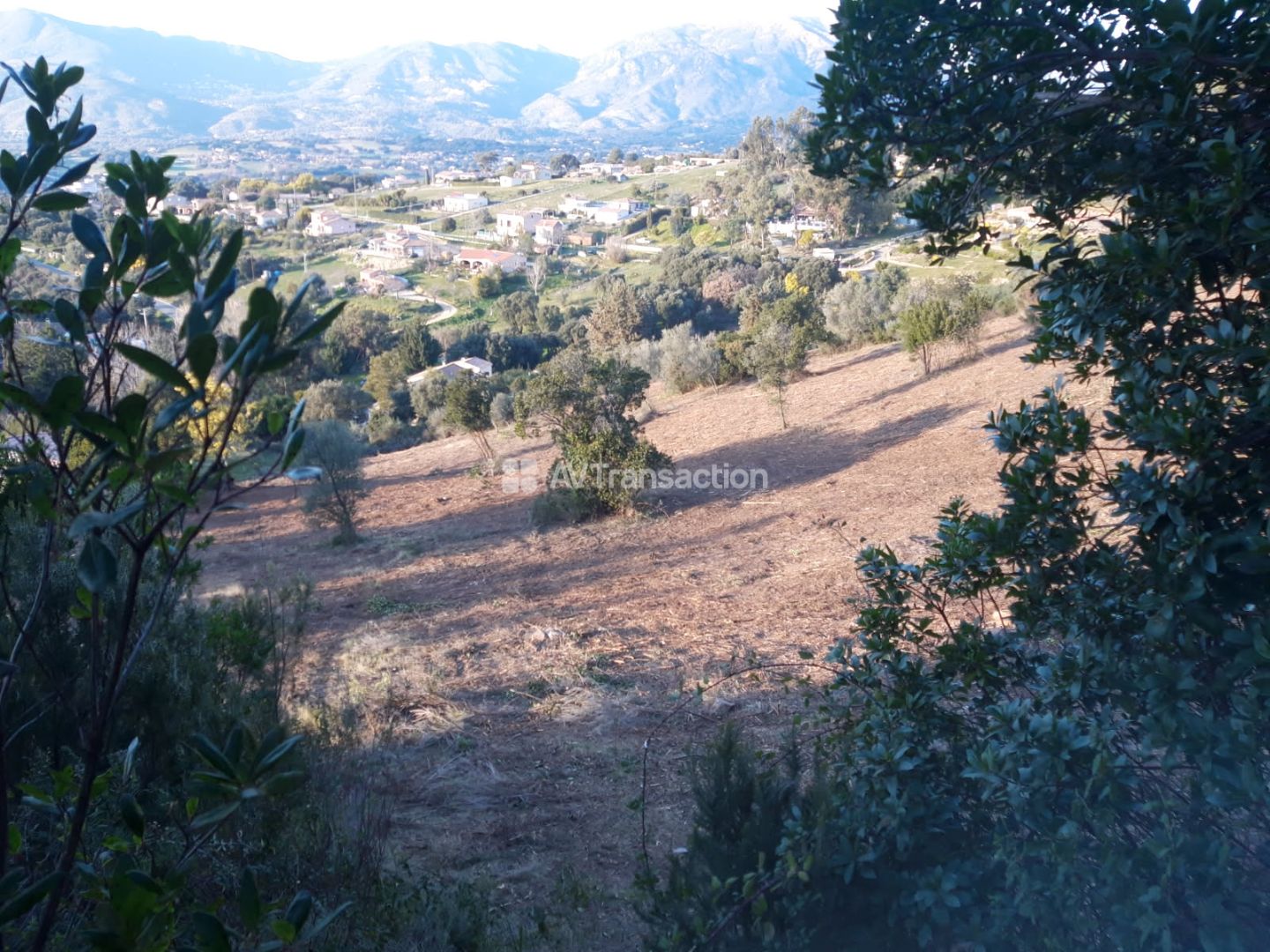 À Vendre Terrain Constructible sur la Plaine de Cuttoli