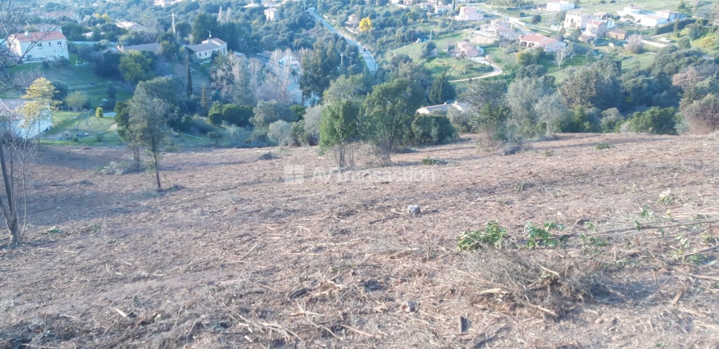 À Vendre Terrain Constructible sur la Plaine de Cuttoli