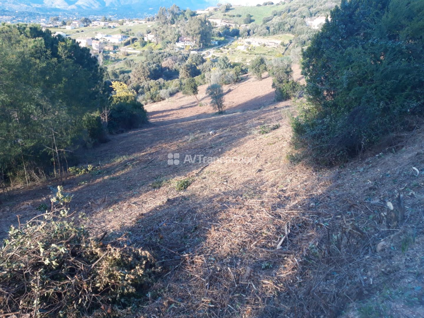 Terrain constructible à vendre  - 4625m2 - Cuttoli-corticchiato (20167)