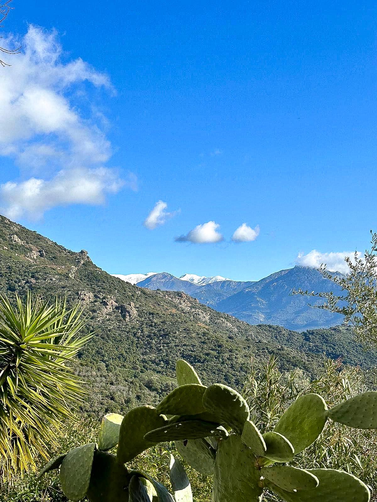 Maison à vendre  - 60m2 - Sarrola-carcopino (20167)