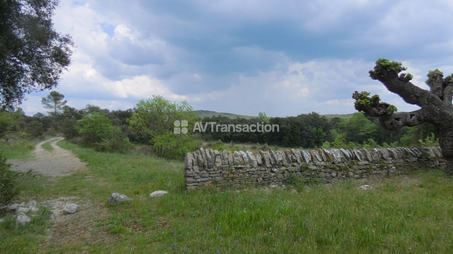 Maison de caractère à vendre  - 6 pièce(s) - 300m2 - Cazalet (30170)