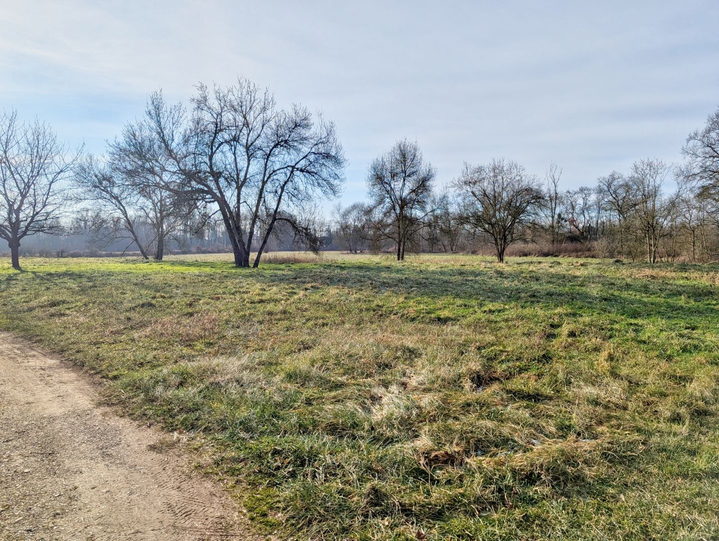 Maison  127 m2  sur 8,5 ha pour Logements