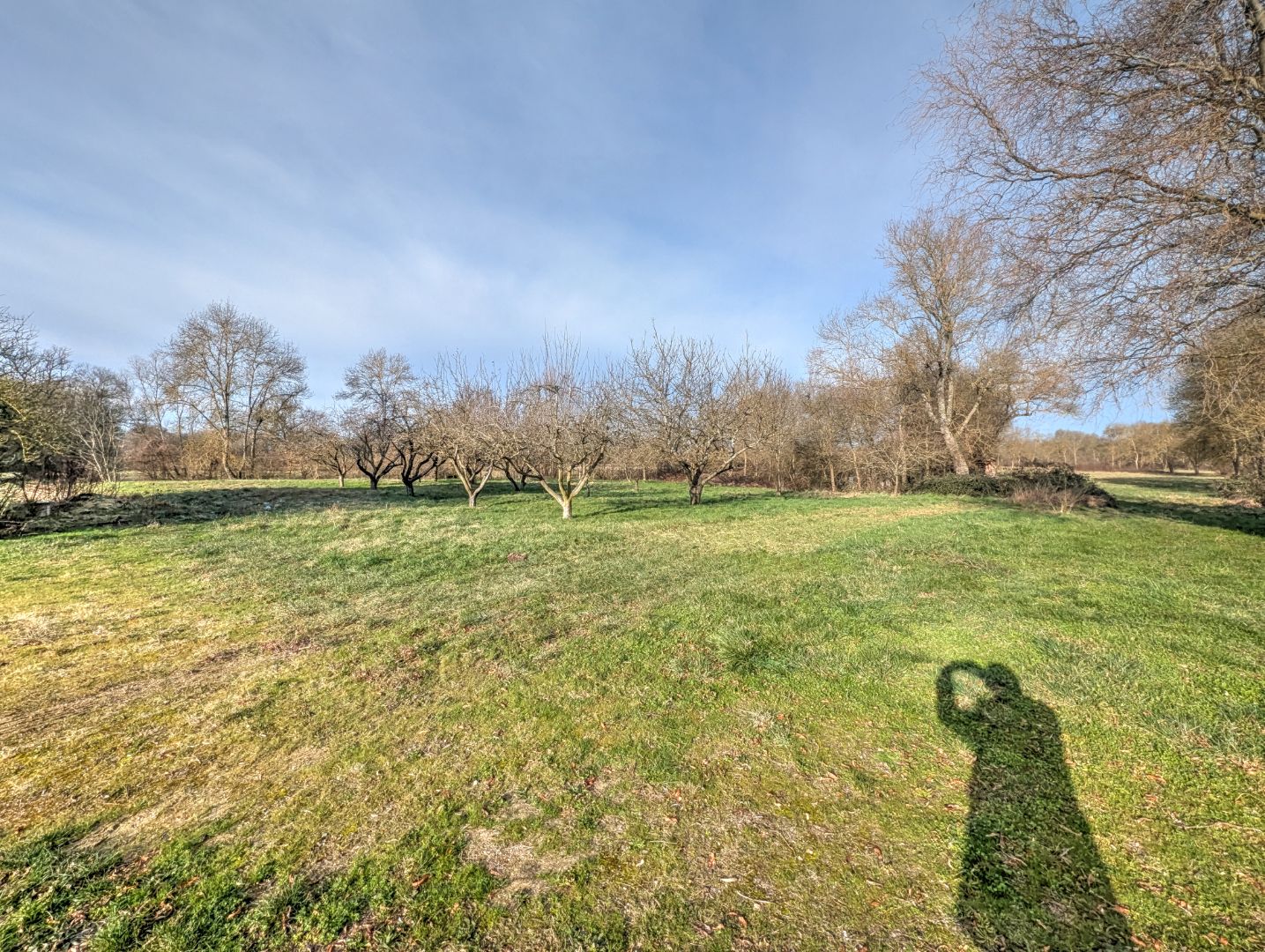 Maison à vendre  - 5 pièce(s) - 128m2 - Mâcon (71000)