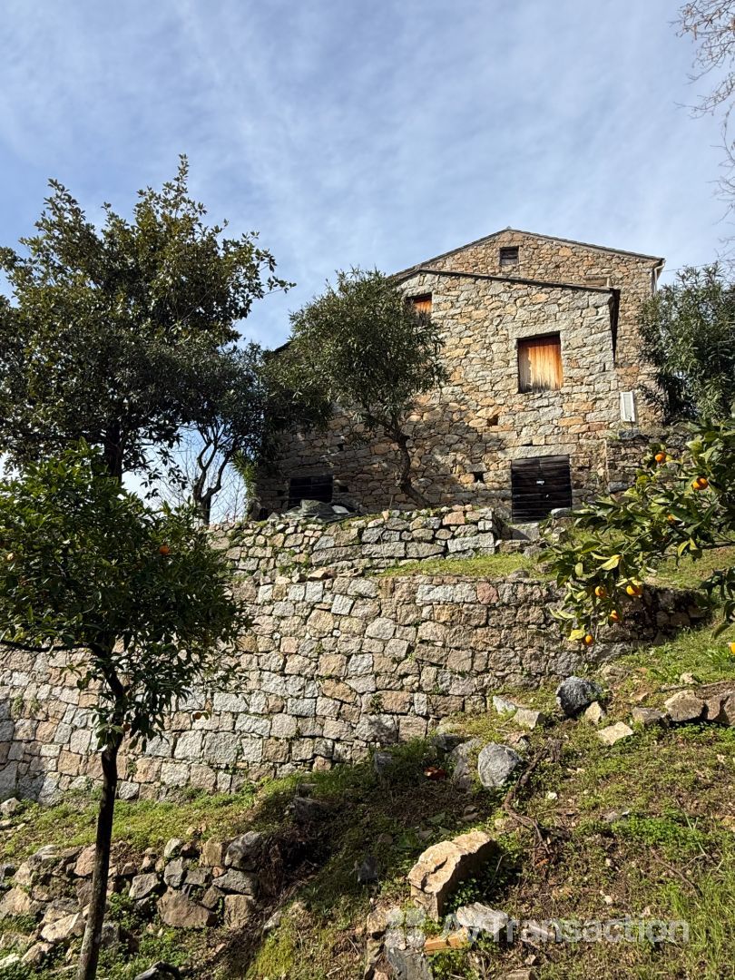 Maison en pierre à rénover - Terrain vue montagne - Sarrola