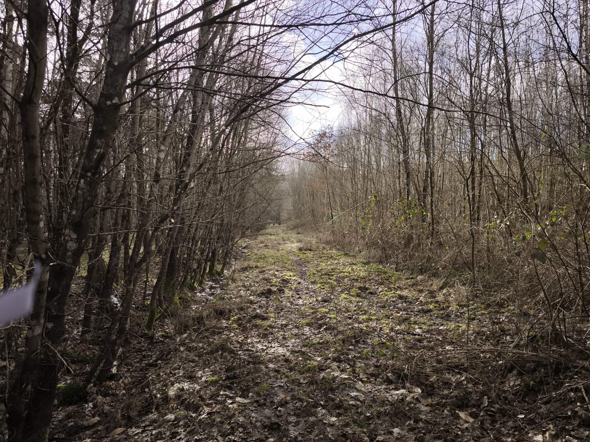 Territoire de chasse 28 hectares
