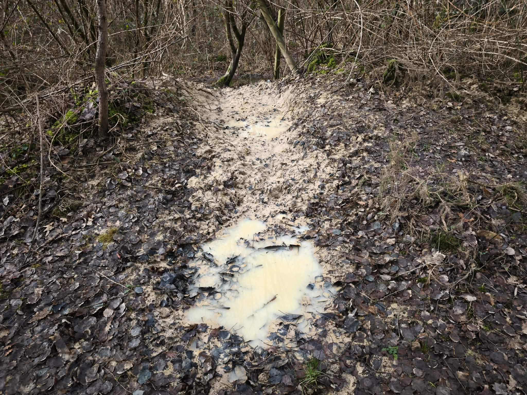 Propriété forestière à vendre  - 280000m2 - Romorantin (41200)