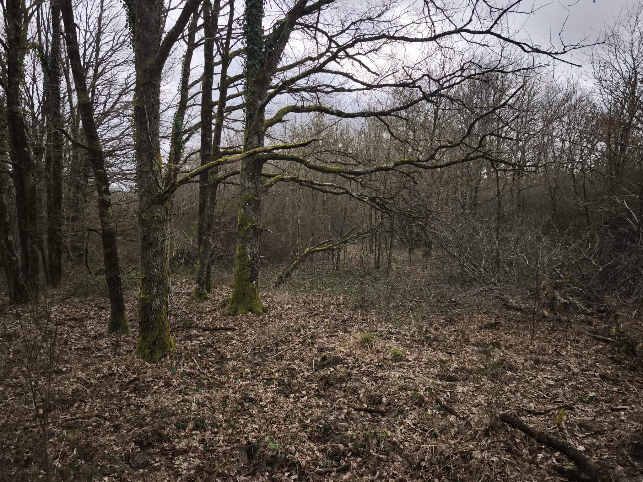 Territoire de chasse 28 hectares