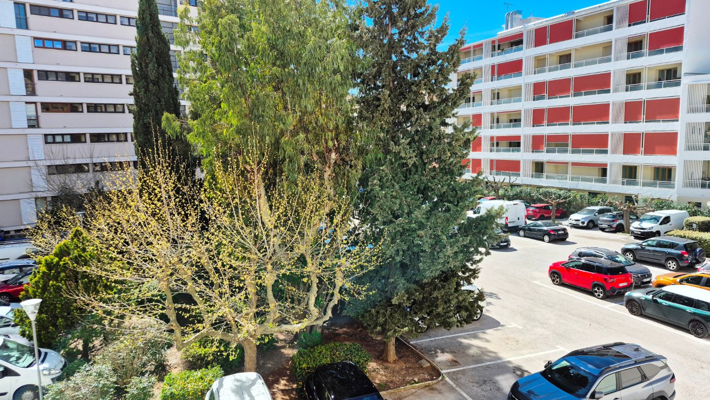 GRAND T2 RENOVE-LOGGIA- AU CALME- ASCENSEUR- PARKINGS.