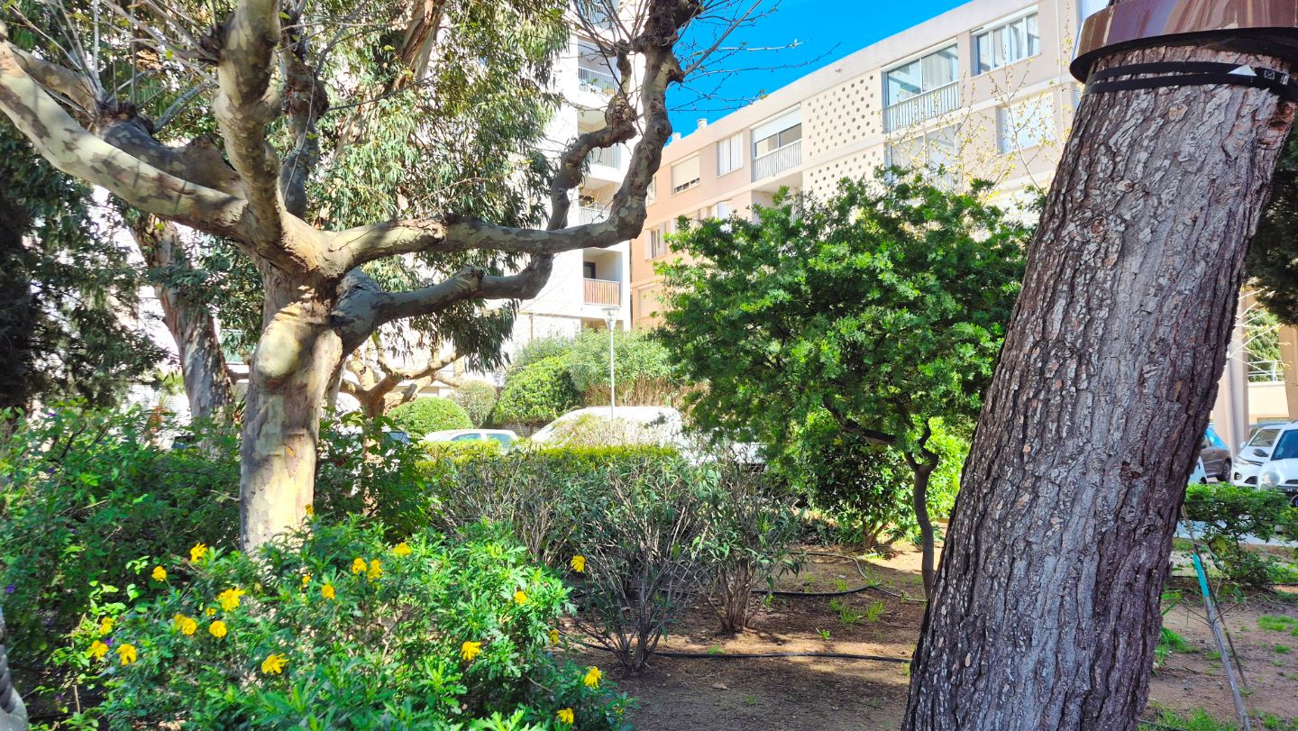 Appartement à vendre  - 2 pièce(s) - 56m2 - Hyères (83400)