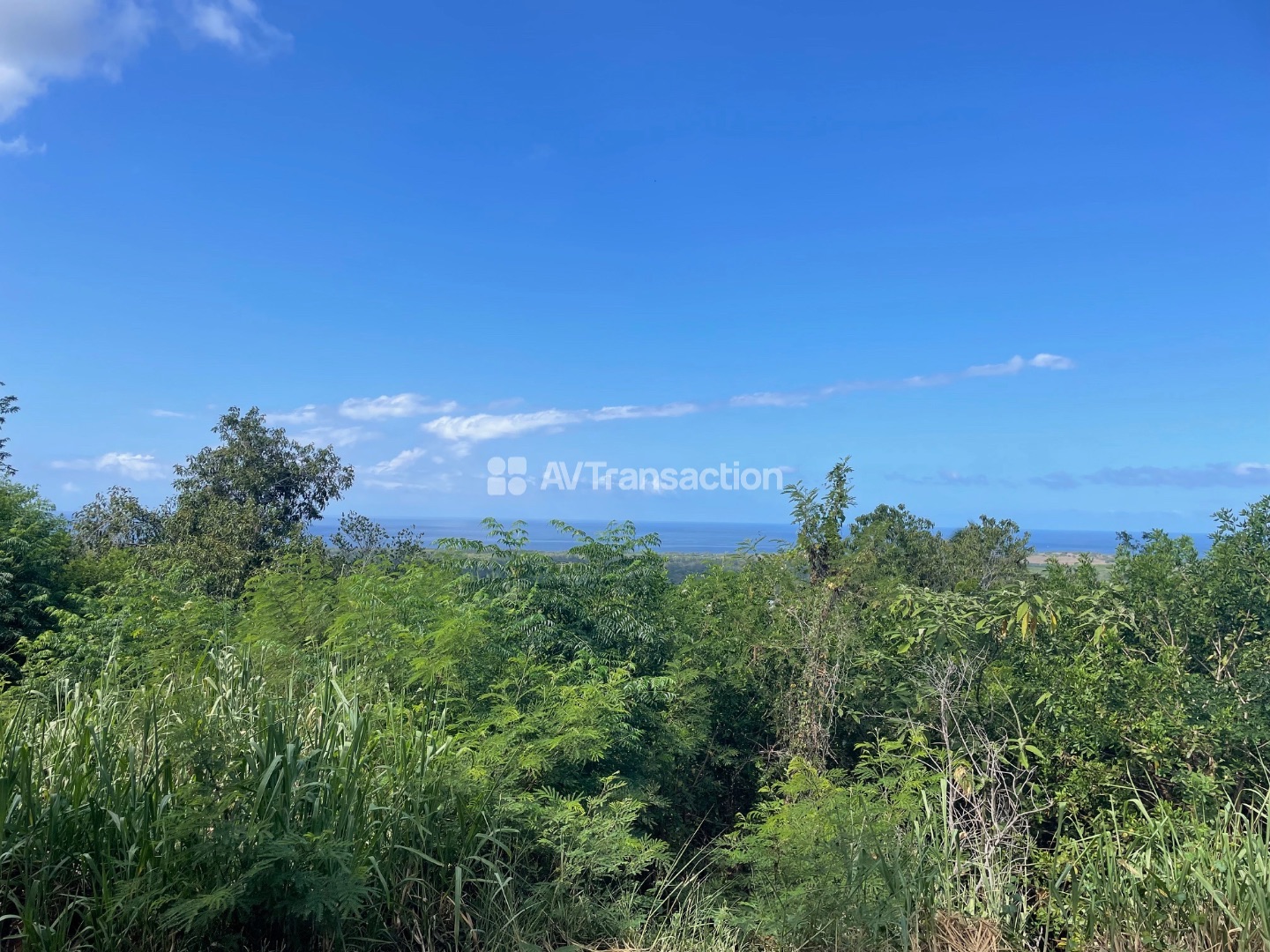 TERRAIN DE ENVIRON 823 M2 A PITON SAINT LEU