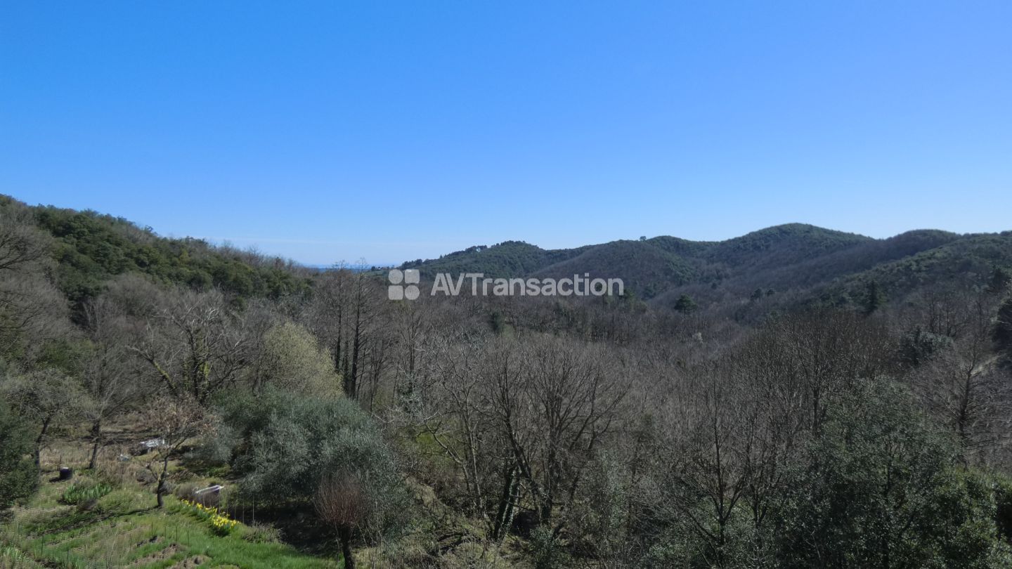 Mas en pierres + source + 2,5 hectares de nature