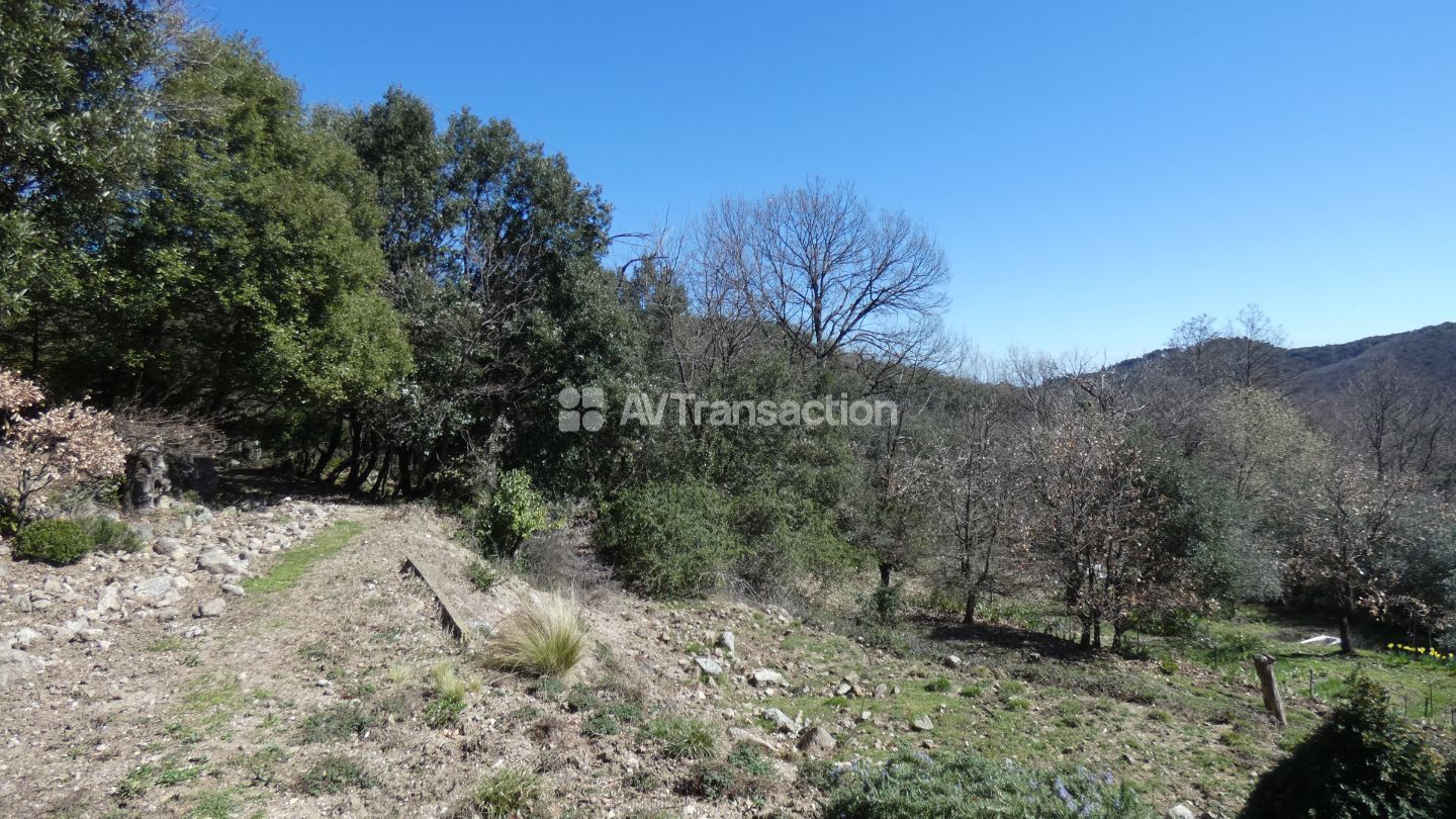 Mas en pierres + source + 2,5 hectares de nature