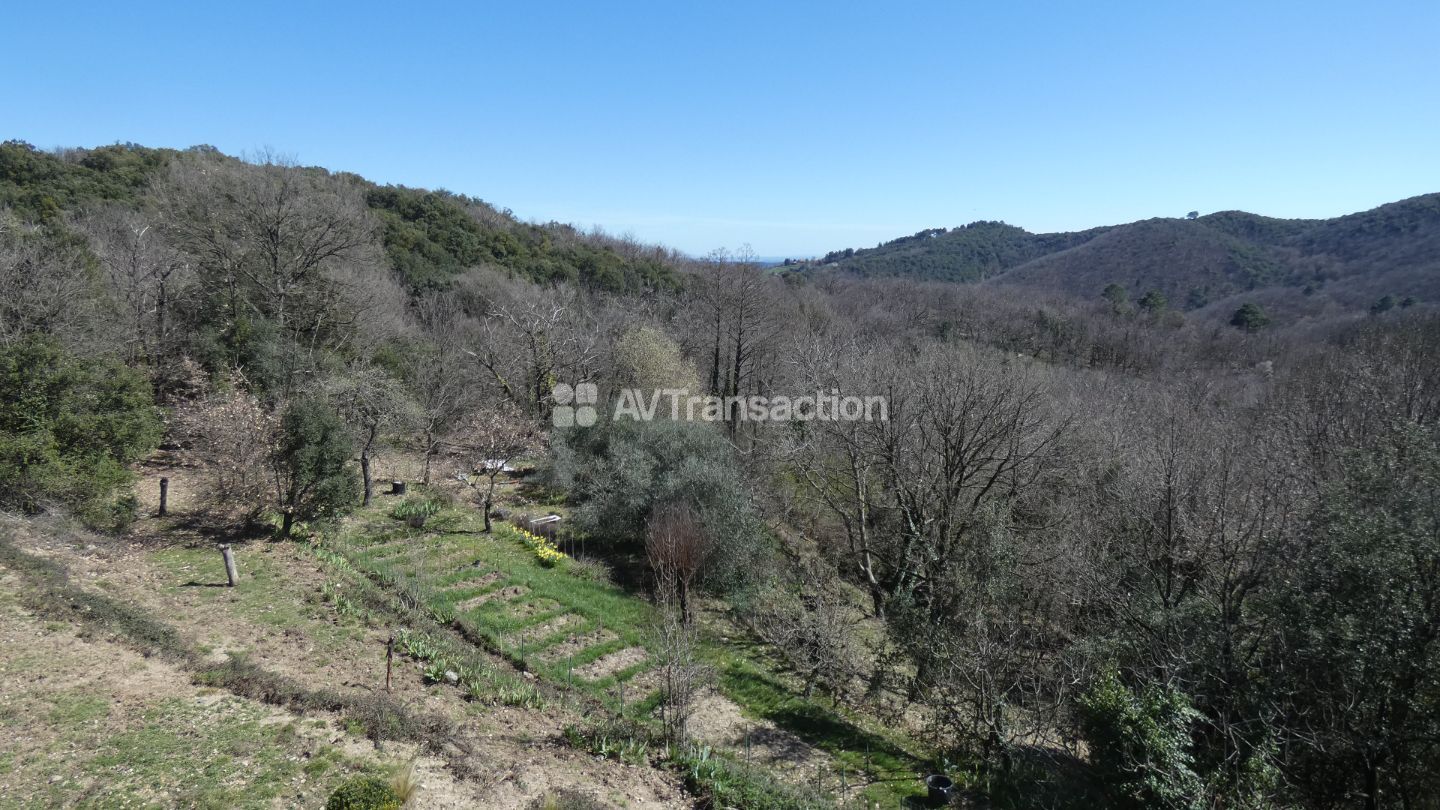 Mas en pierres + source + 2,5 hectares de nature