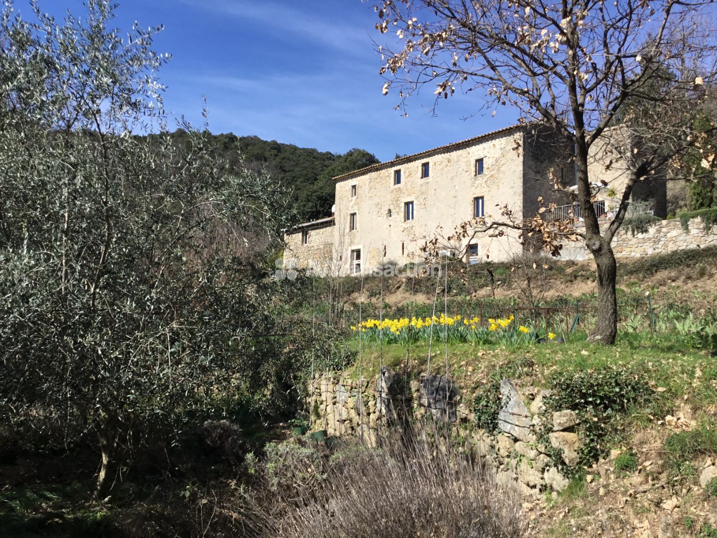 Propriété à vendre  - 7 pièce(s) - 147m2 - Sainte Croix De Caderle (30460)