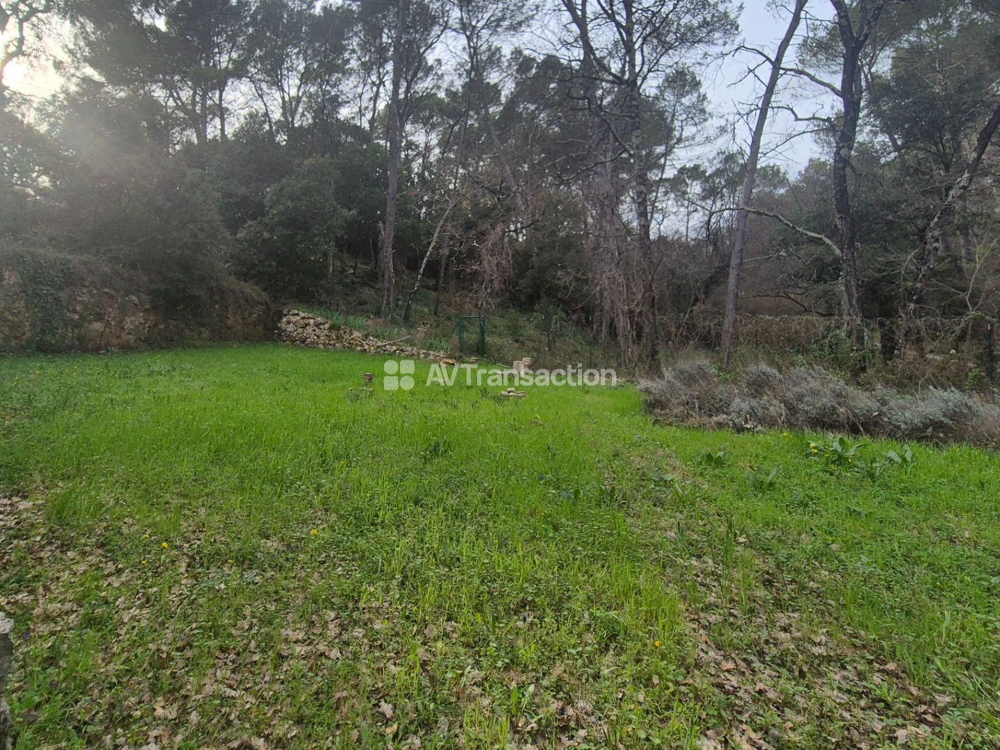 Terrain constructible