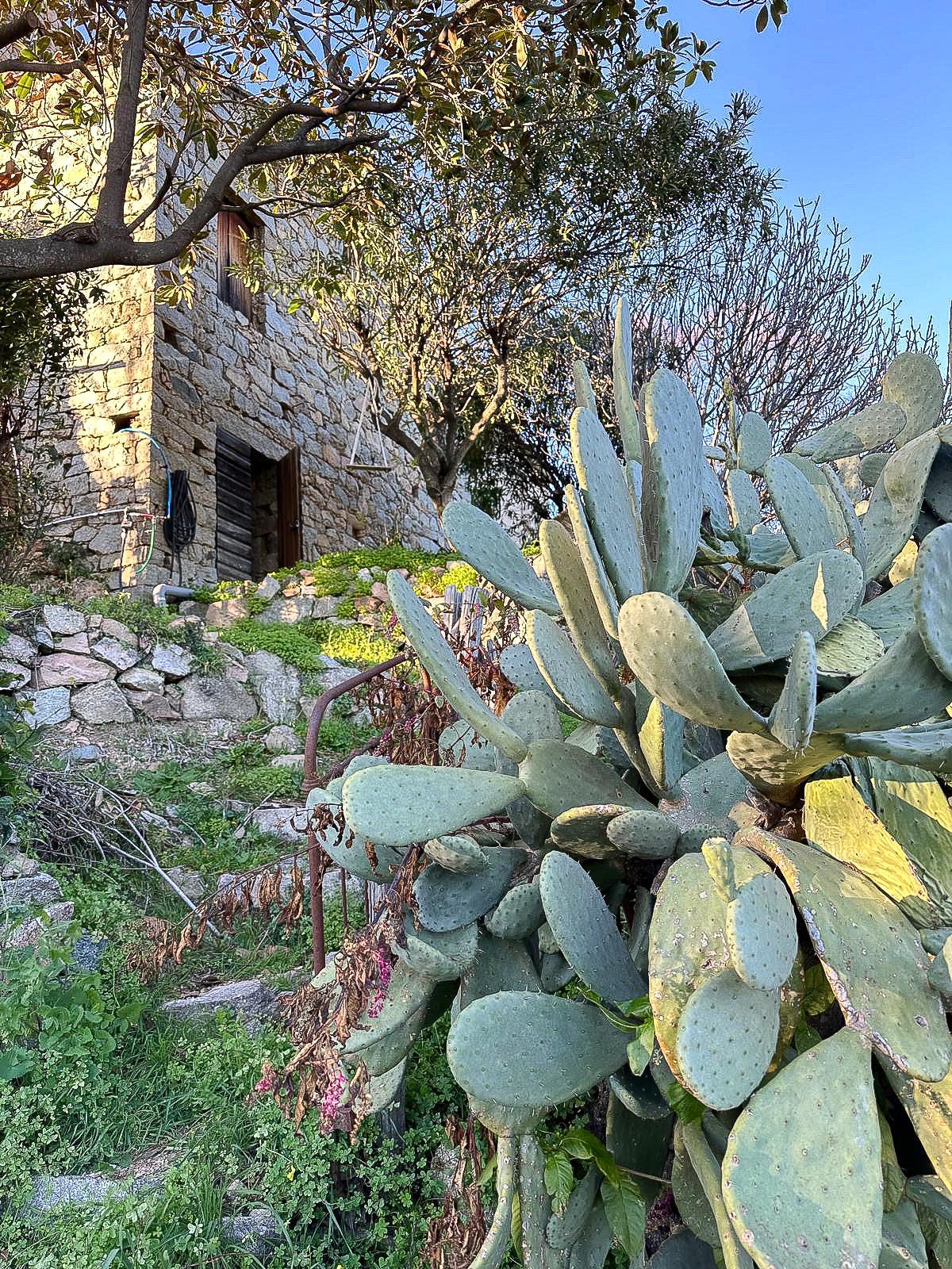 Maison à vendre  - 60m2 - Sarrola-carcopino (20167)