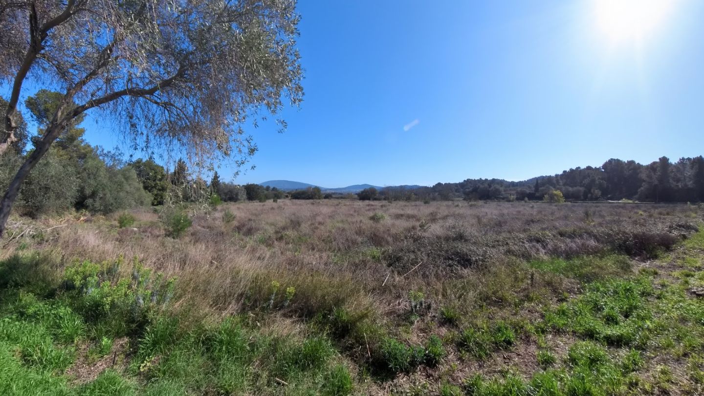 Villa à vendre  - 4 pièce(s) - 97m2 - Tourouzelle (11200)