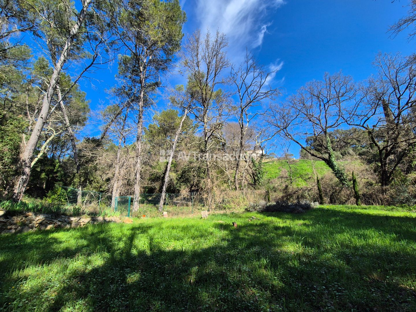 Terrain constructible