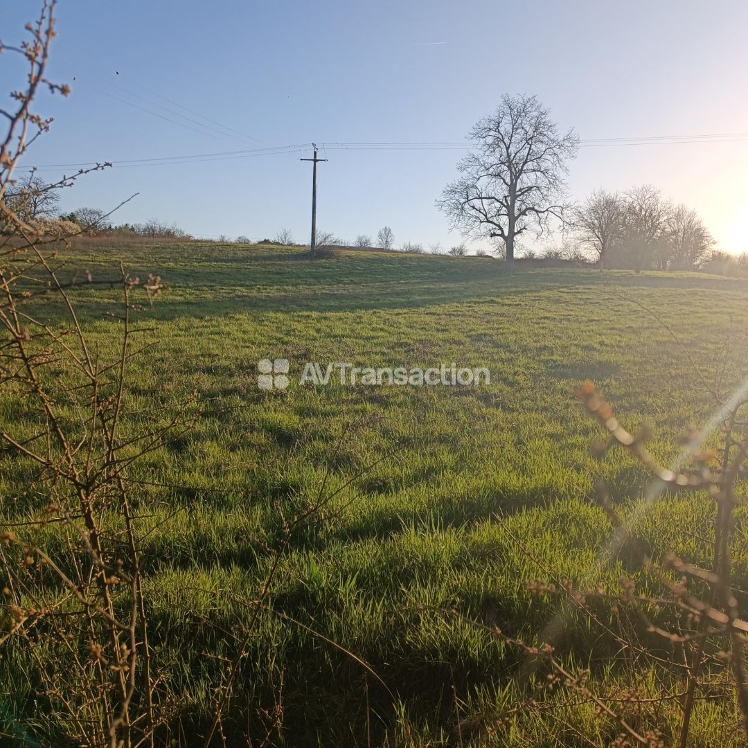 TERRAIN A VENDRE COLOMBINE