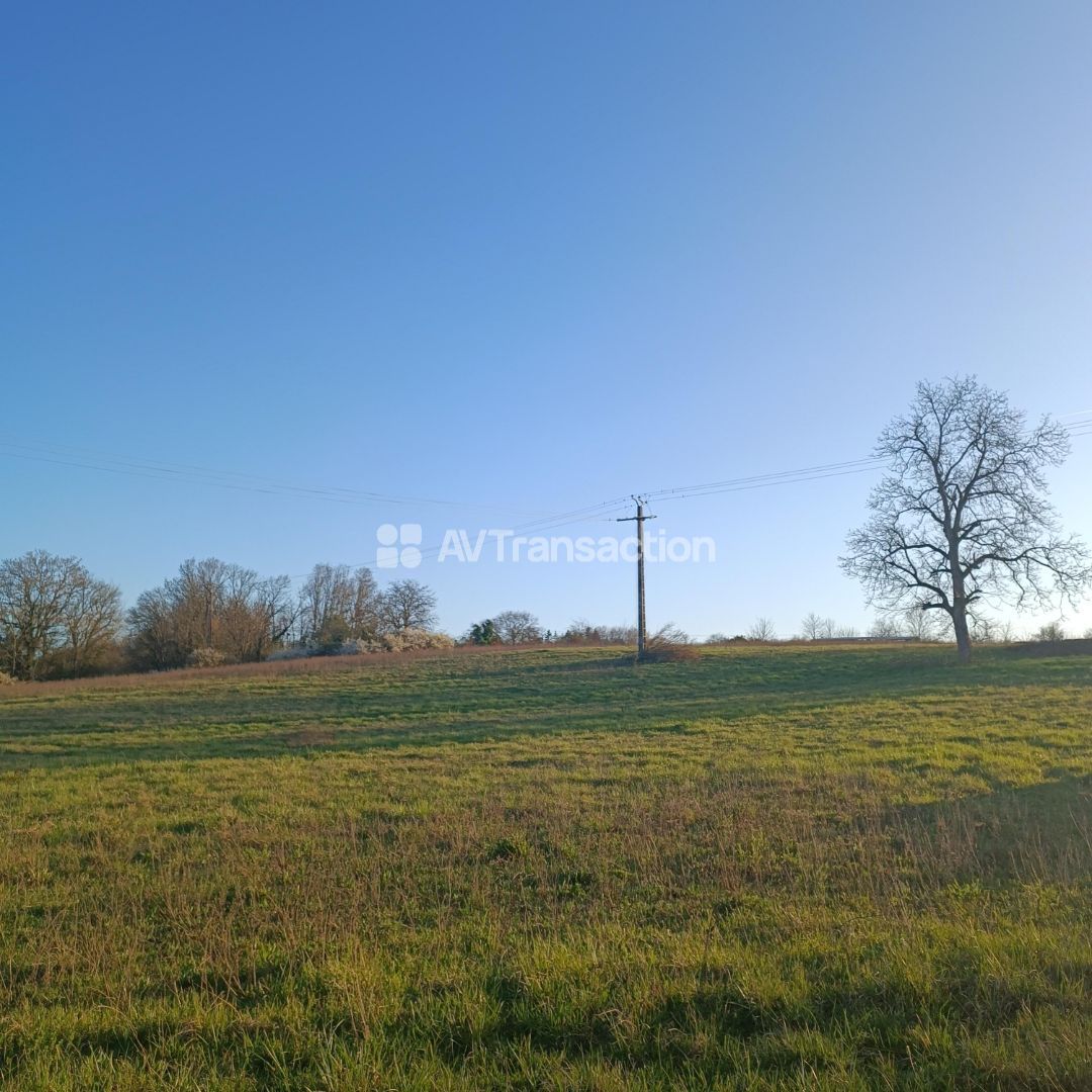 TERRAIN A VENDRE SECTEUR GY