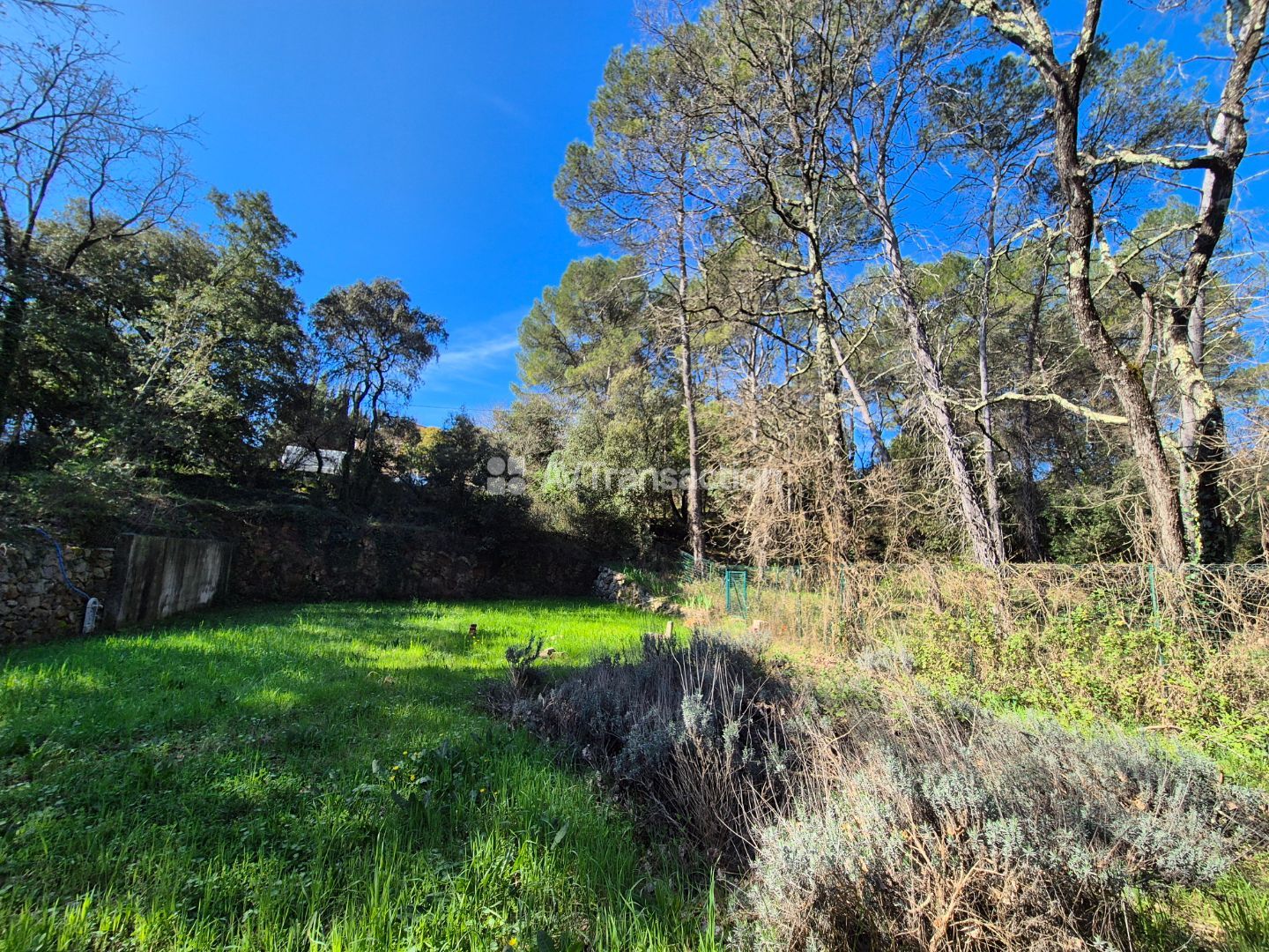 Terrain constructible à vendre  - 1000m2 - Lorgues (83510)