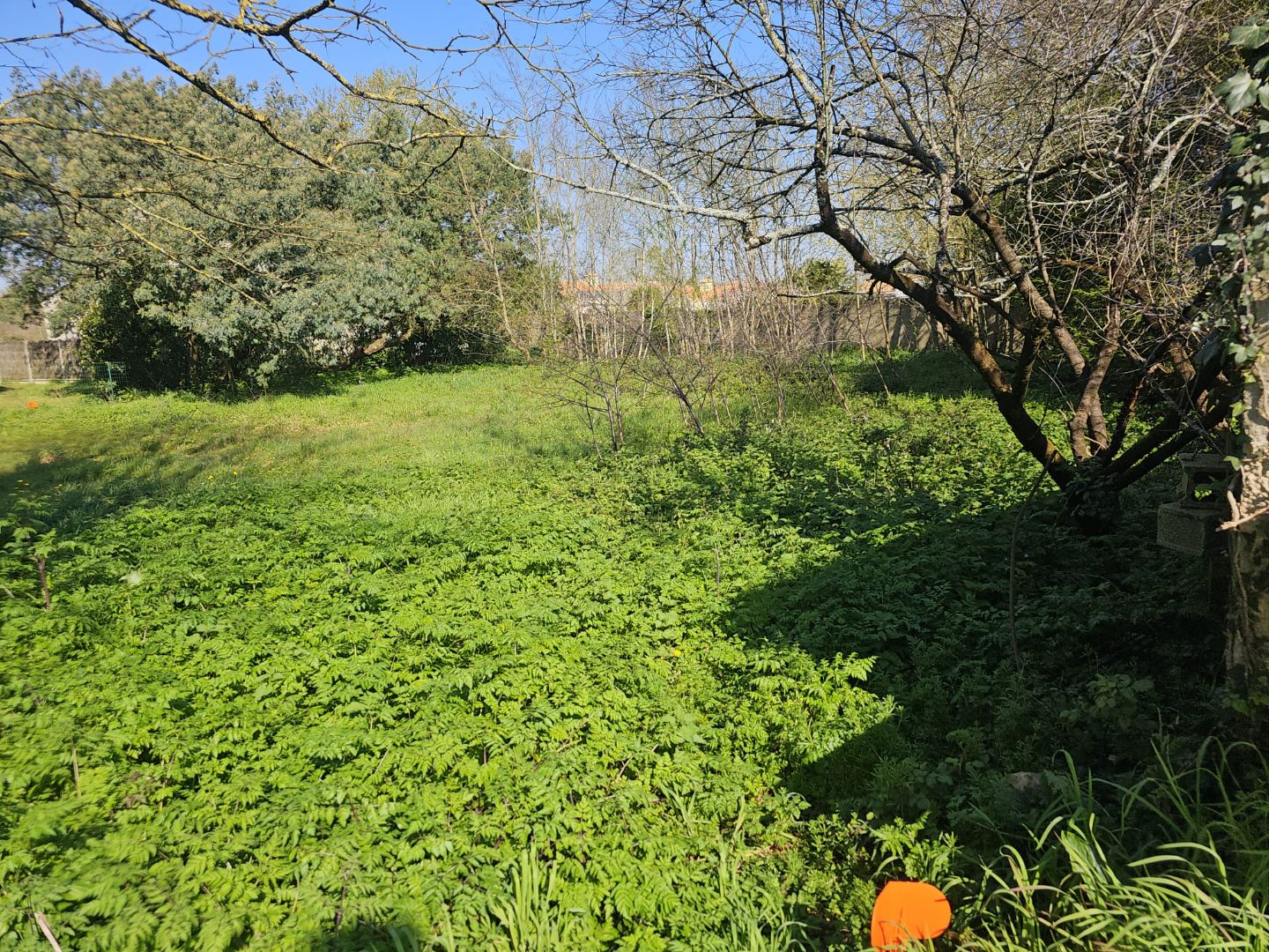 Terrain constructible 605 m² – Sud de Challans