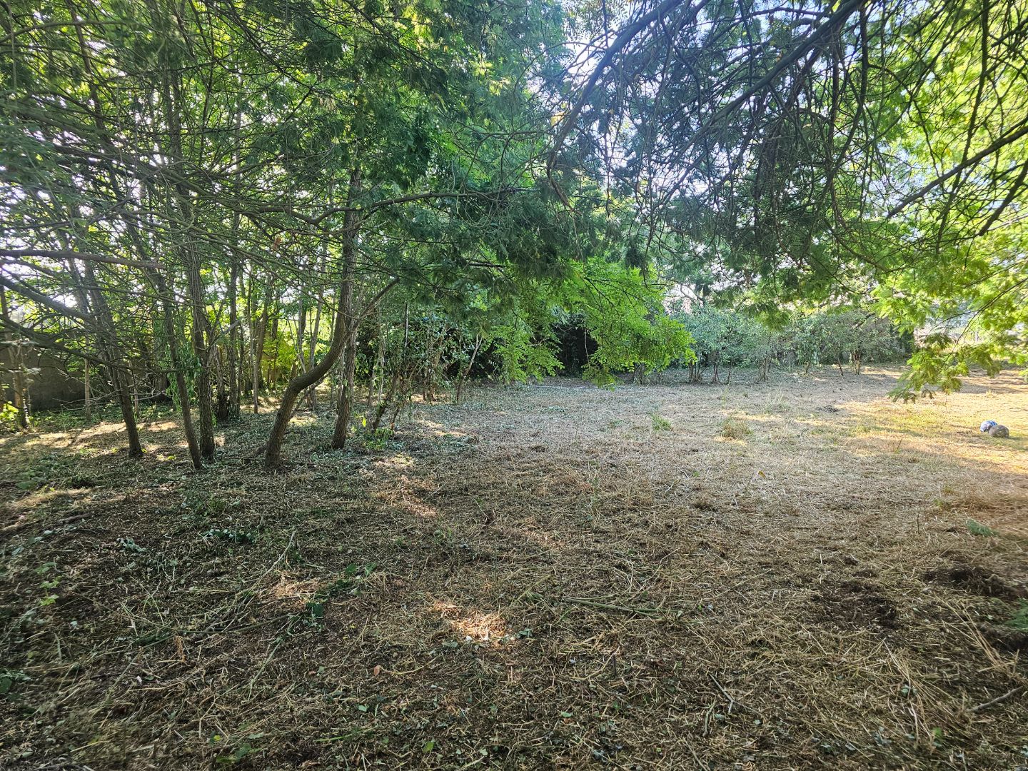 Terrain constructible à vendre  - 605m2 - Challans (85300)