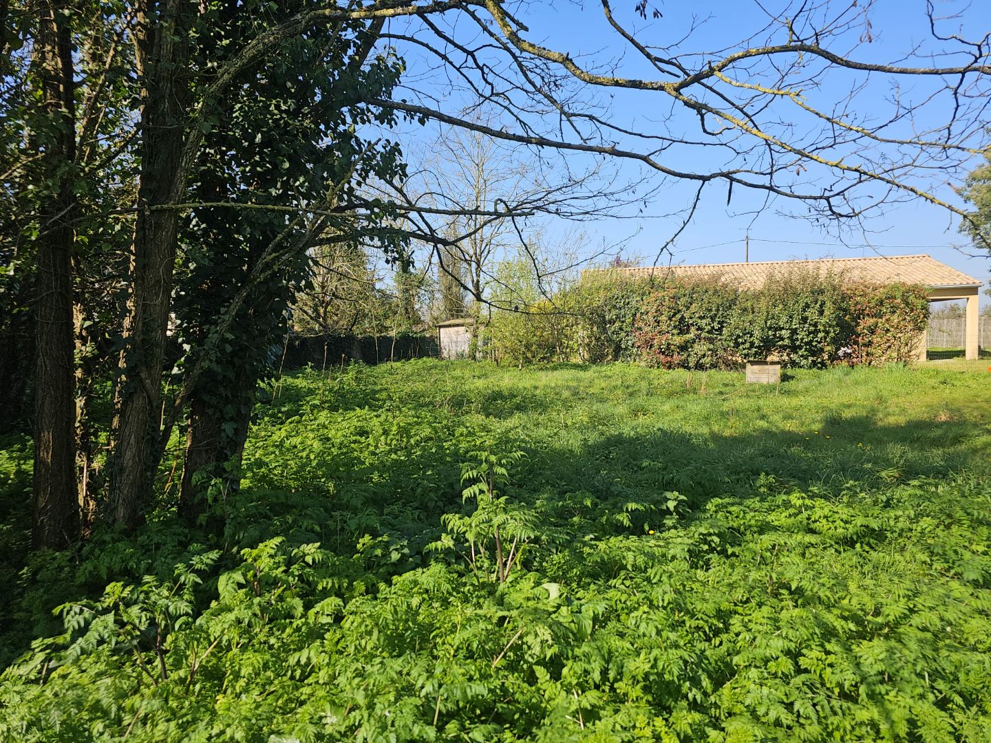 Terrain constructible à vendre  - 510m2 - Challans (85300)