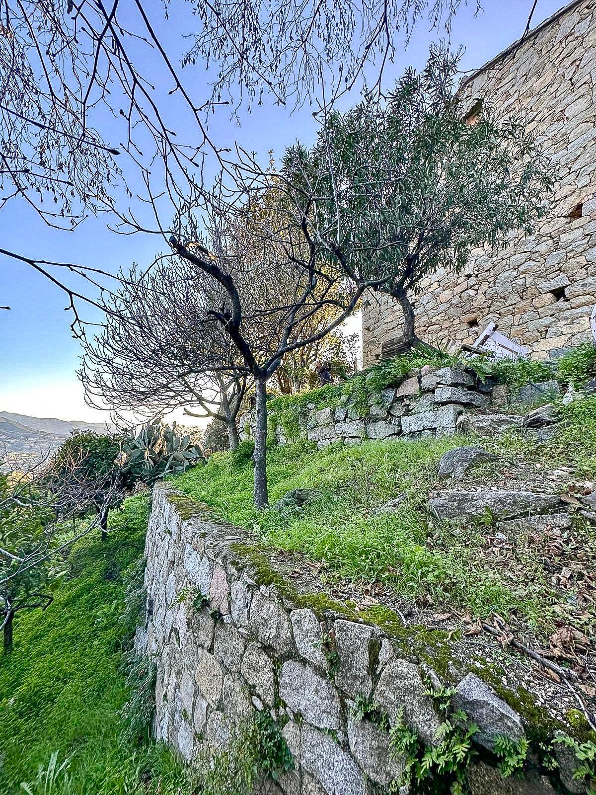 Maison à vendre  - 60m2 - Sarrola-carcopino (20167)