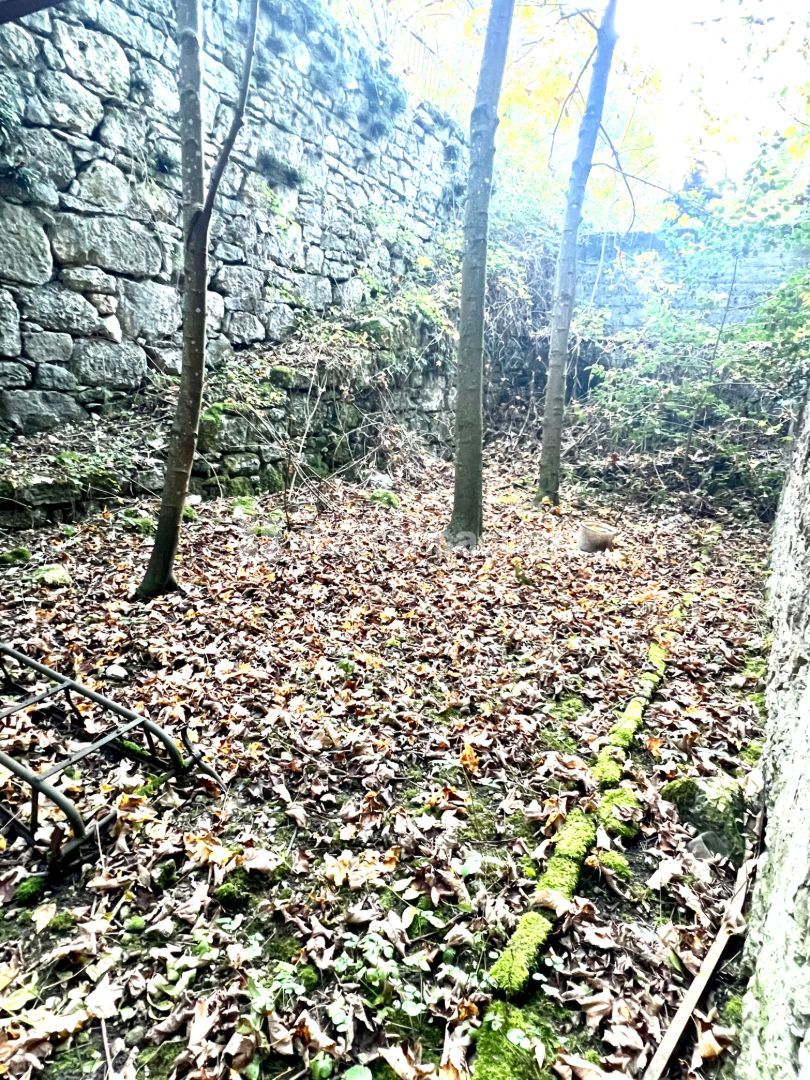 Immeuble à rénover à vendre  - 360m2 - Tenay (01230)