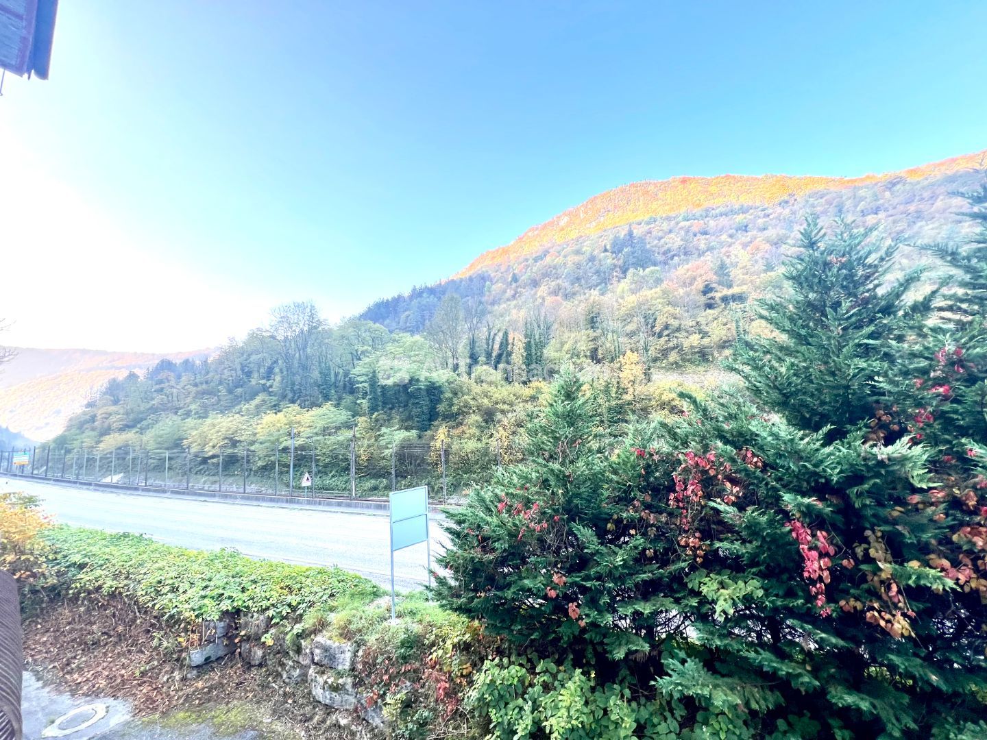 Immeuble à rénover à vendre  - 360m2 - Tenay (01230)