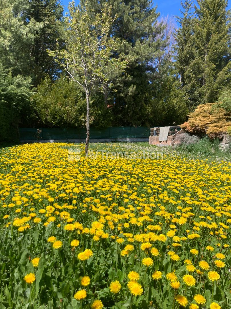 Maison à vendre  - 4 pièce(s) - 84m2 - Chorges (05230)