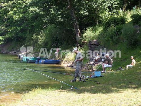 Camping à vendre  - 9 pièce(s) - 80m2 - Saint-martin-cantalès (15140)